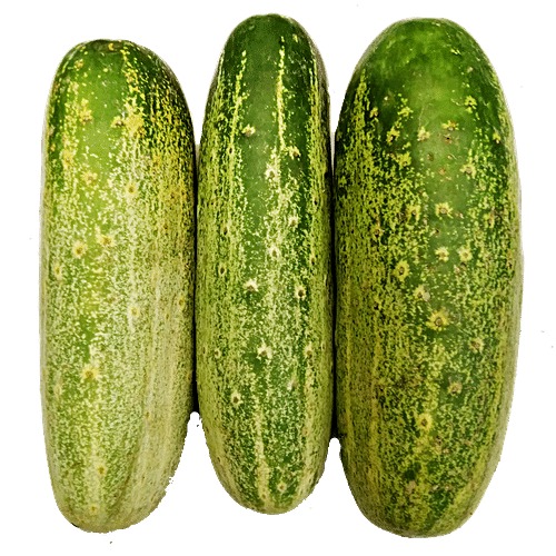 Cucumber - Desikheera, 1 kg
