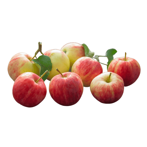 Kashmiri Apple 1 kg