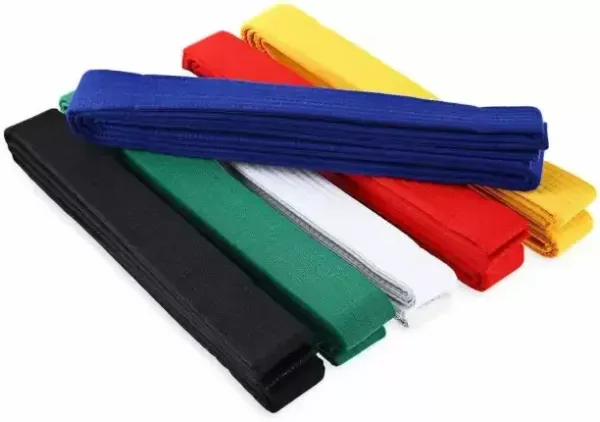 Addiction Set Of 6 Color 2.2M Martial Arts Karate Judo Taekwondo Professional Belts Judo Abdominal Belt
