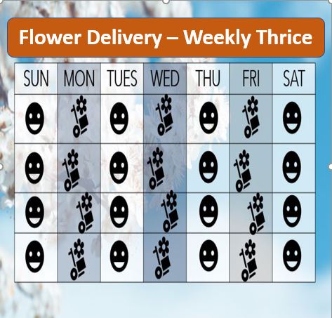 Dhan Flower Package