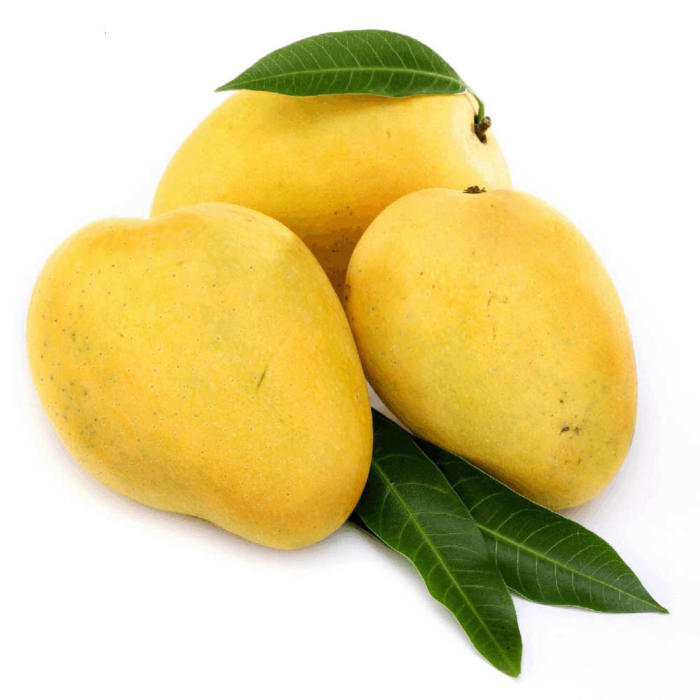 Fresh Banganapally Mango, 1Kg