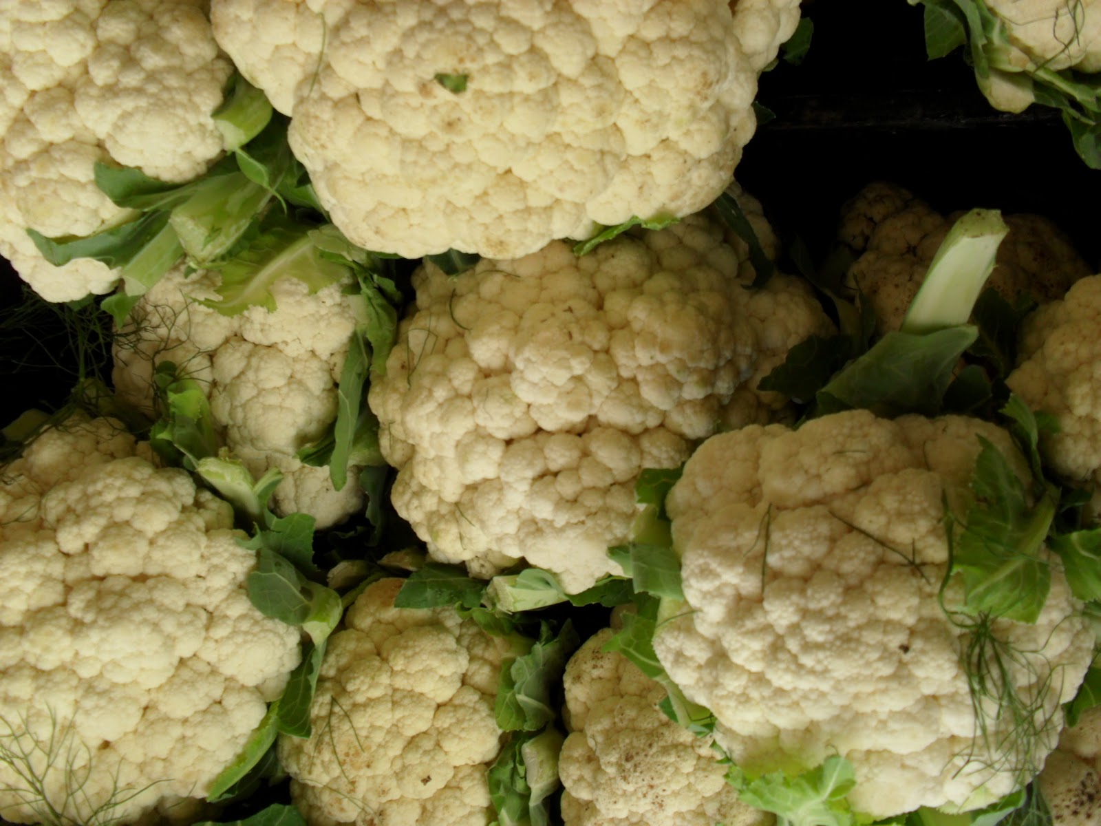 Fresh Cauliflower , 1N