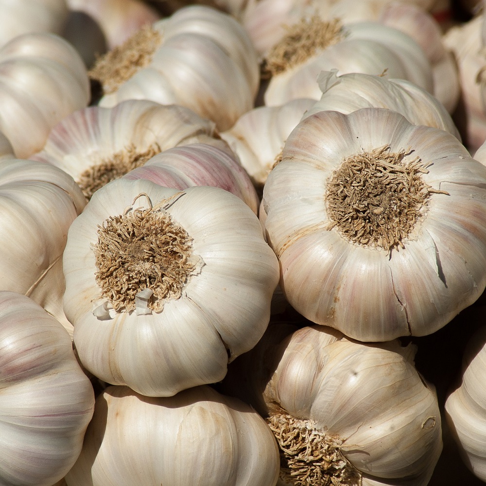 Garlic, 500gms