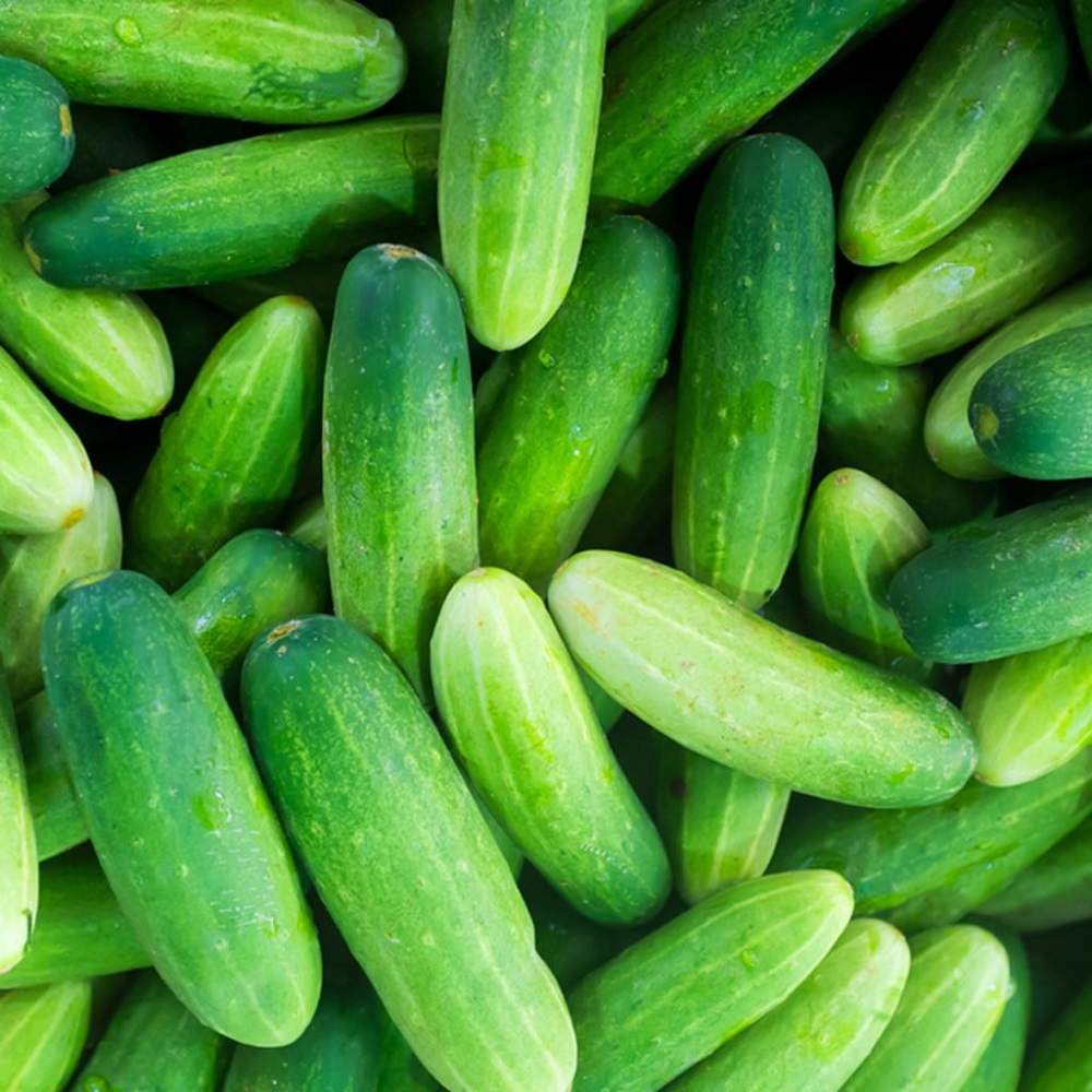 Green Cucumbar, 1Kg
