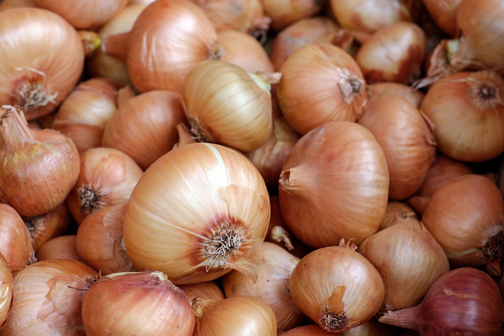 Onion, 1Kg