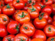 Tomato