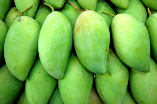 Green mango 1KG