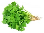 Corinder leaves PER BUNCH (dhaniya patti)