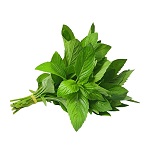 Mint Leaves 250g
