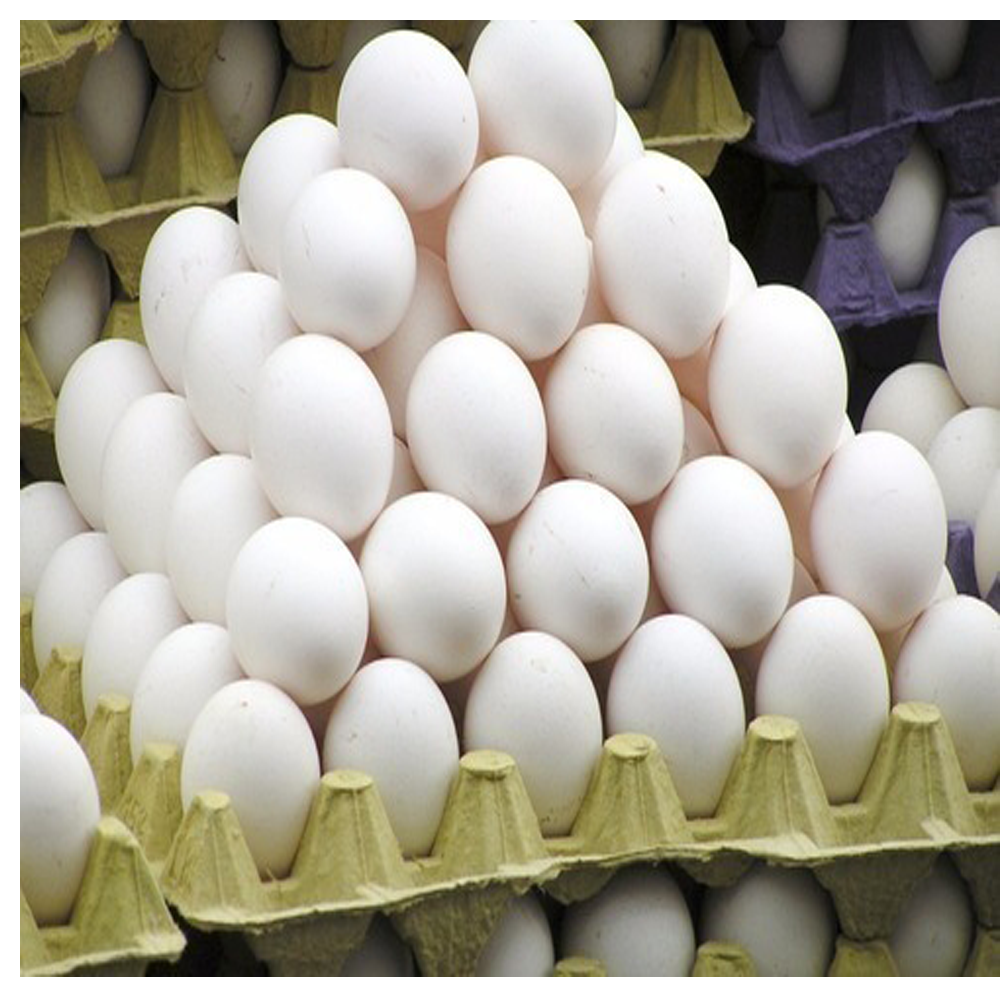 Egg ( Hen)