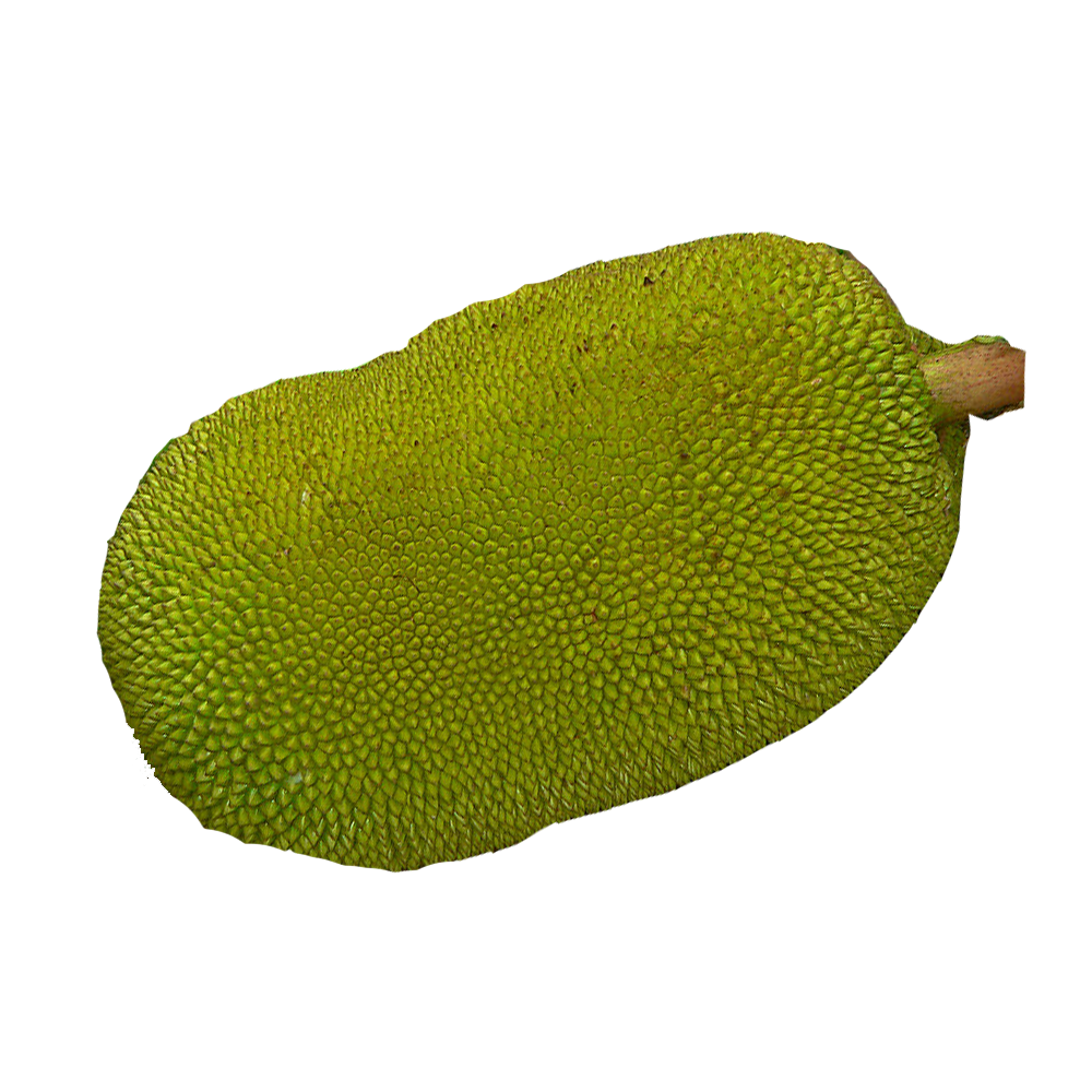 Chakka