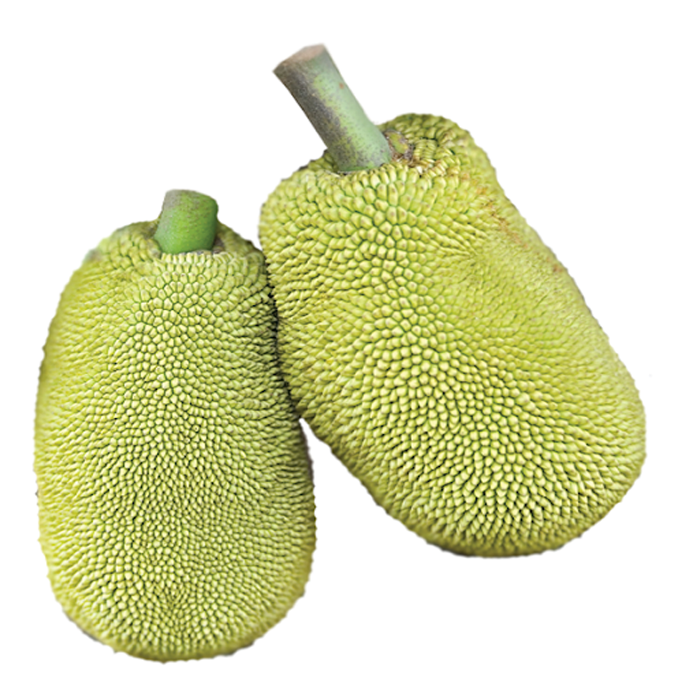 Edichakka