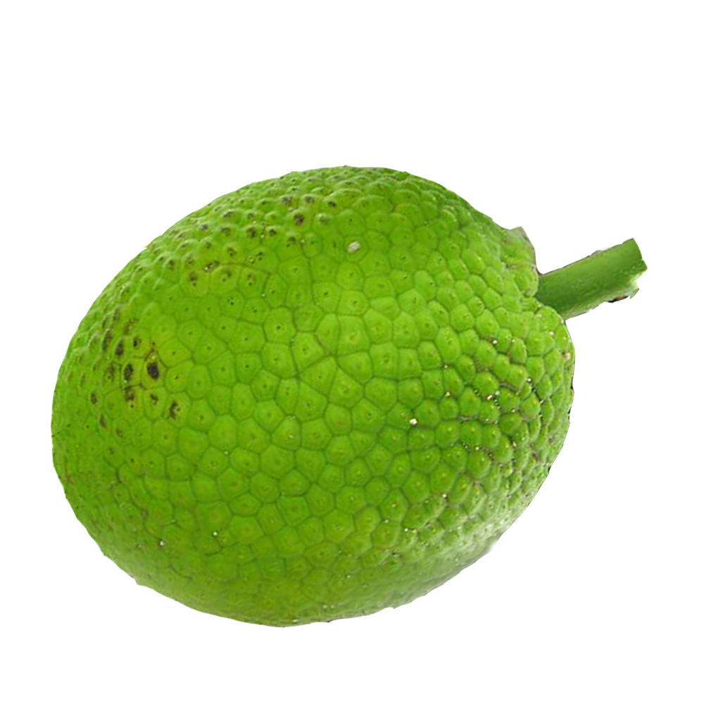 Kadachakka