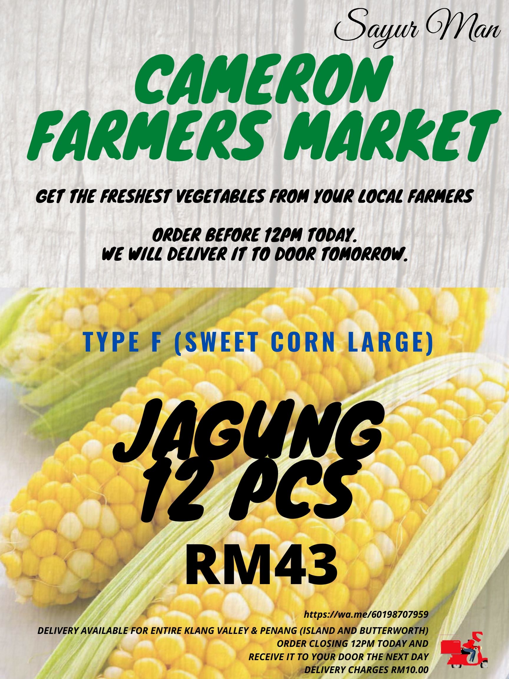 Cameron Highland's Fresh Vegetable TYPE F (SWEET CORN LARGE) / Home delivery-Fresh vegetables direct from farm