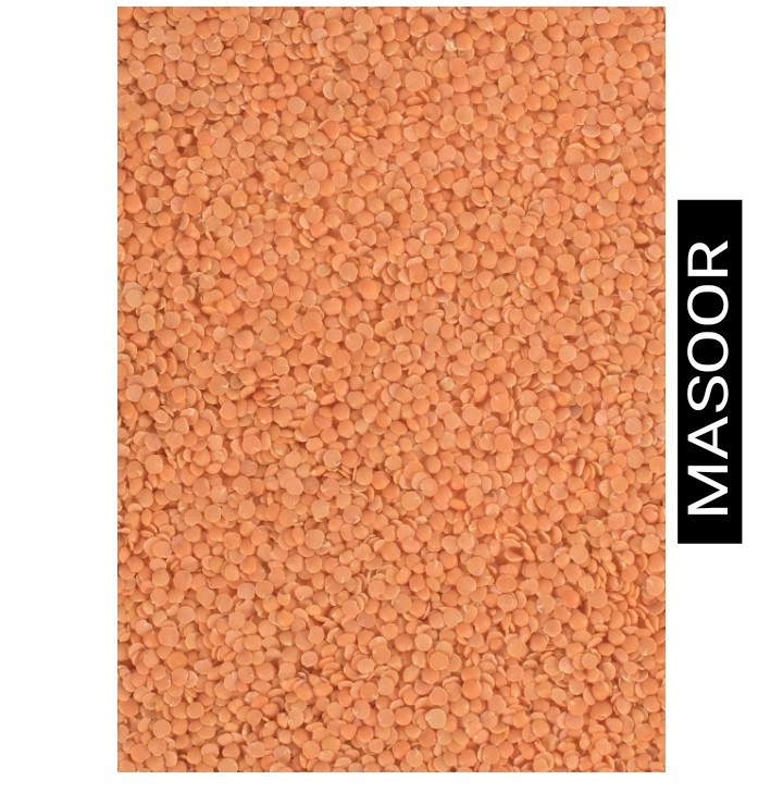 MASOOR DAL RED 500 GM