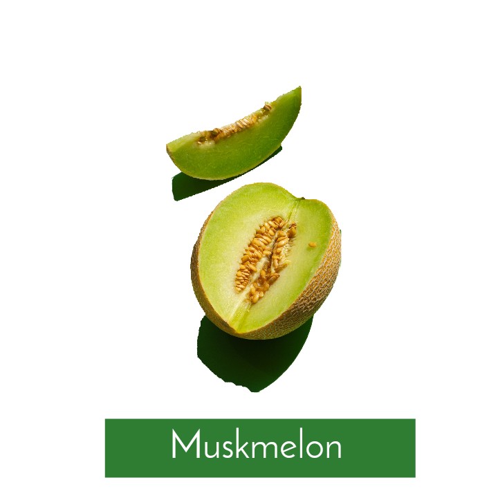 MUSKMELON