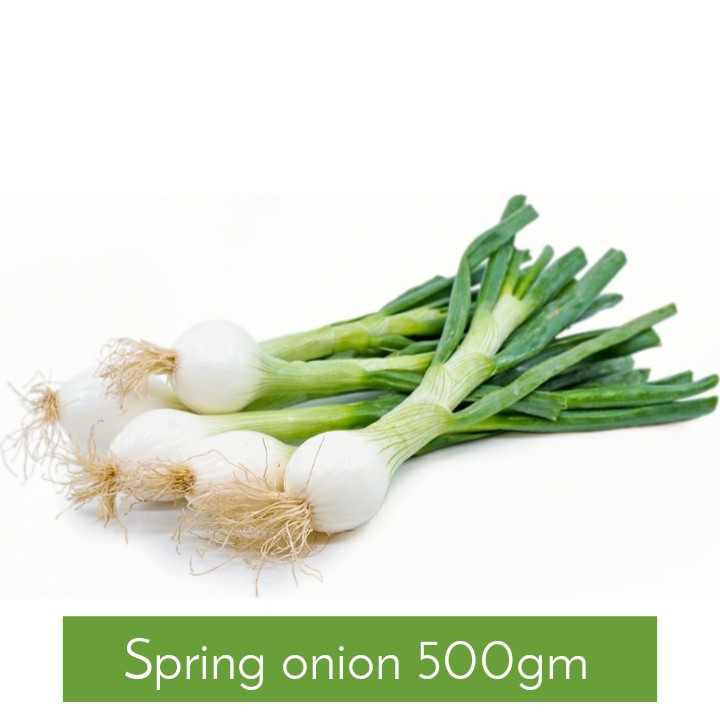 SPRING ONION 500GM